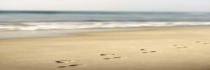 Footprint- Beach
